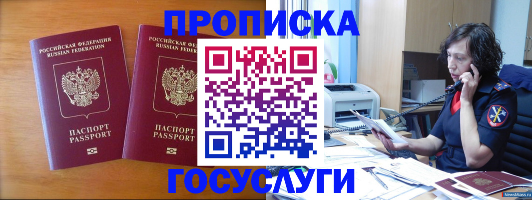 временная регистрация госуслуги в Палласовке